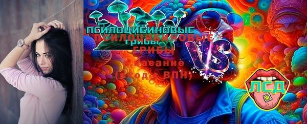 молекула духа Ветлуга