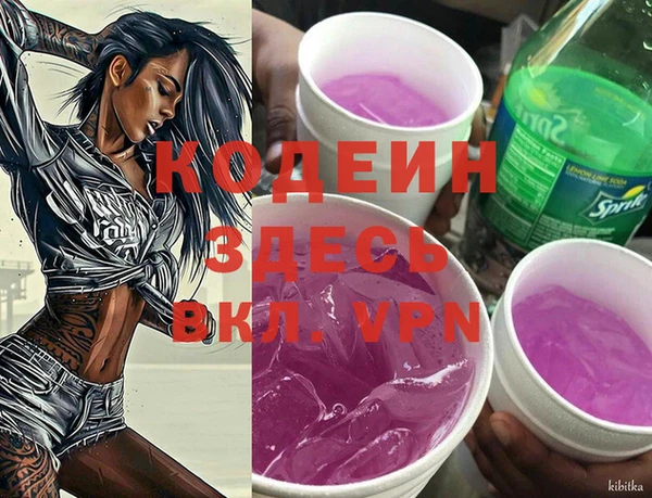 МДПВ Весьегонск