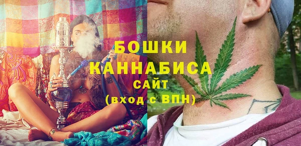 PSILOCYBIN Дмитриев