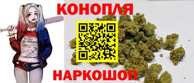 меф Гатчина