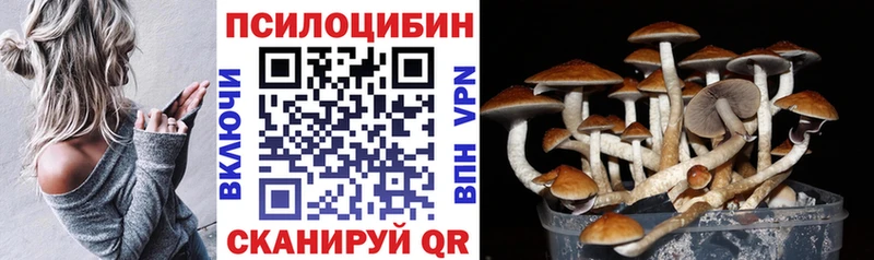 Псилоцибиновые грибы MAGIC MUSHROOMS Калач-на-Дону