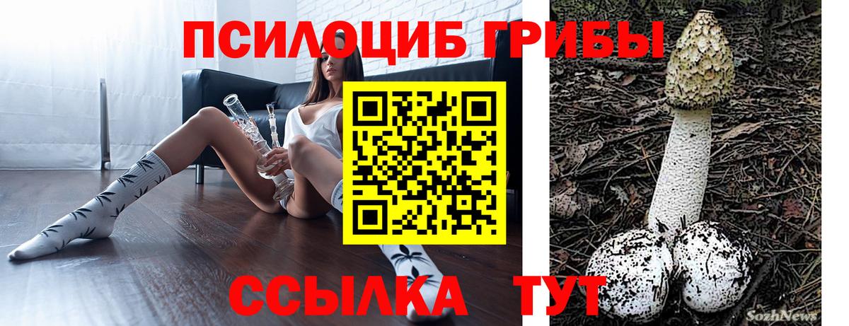 Галлюциногенные грибы прущие грибы  Галлюциногенные грибы Cubensis  Вход с VPN  Калач-на-Дону 