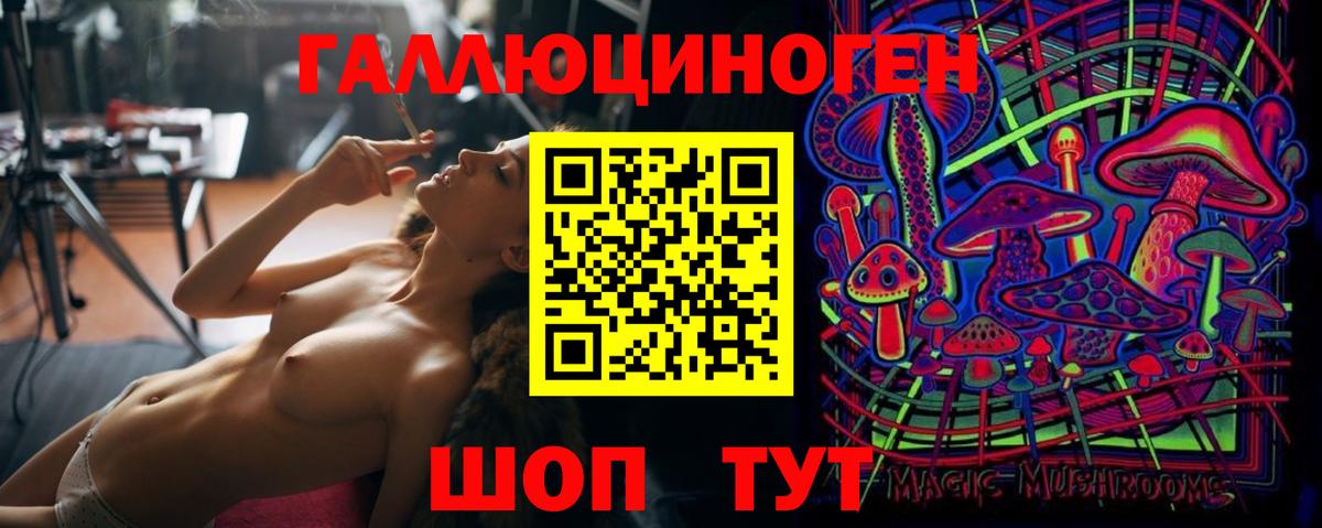 Псилоцибиновые грибы Cubensis Калач-на-Дону